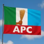 Bauchi Govt Dissolves Wikki Tourist Mgt After NPFL Relegation