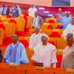 Peter Obi, Kwankwaso will unite Nigeria – Galadima 