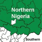 It’s Time For North To Pay Tinubu Back For Helping Buhari – Yari